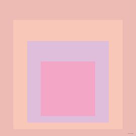 Abstract Pink Lilac Square – Minimalist Colour Study by Mid Century Art House