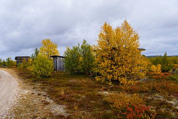 L'automne en Laponie finlandaise sur Joke Beers-Blom