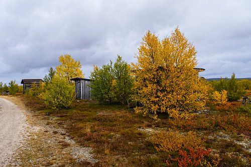 L'automne en Laponie finlandaise