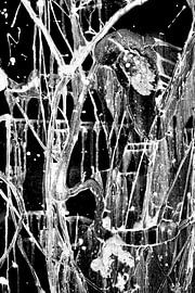 Der Fluss von Sidney Graf