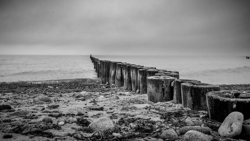Buns on the beach in black and white by Bild.Konserve