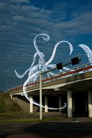 Zeedieren (octopus) in de lucht - combinatie van een foto met illustratie van wit krijt