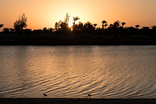 Sunrise in El Gouna, Egypt