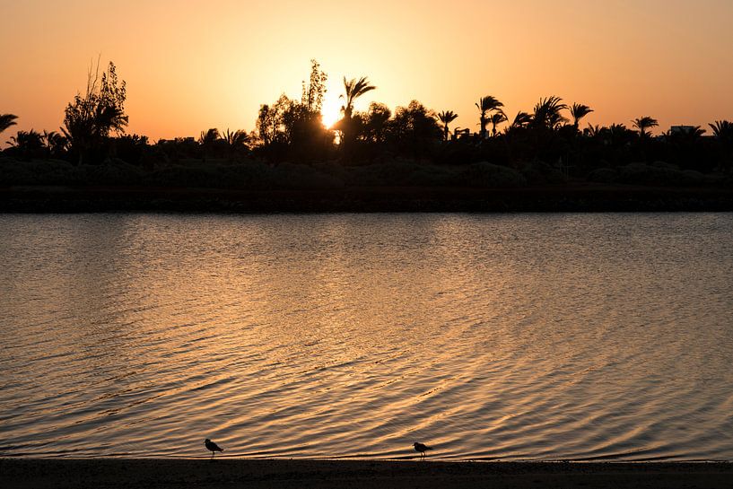 Sonnenaufgang in El Gouna, Ägypten von Manon Visser