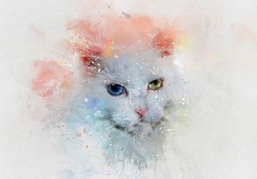 De Kat van Claudia Evans