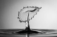 SplashArt Photography