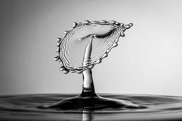 Waterdruppel Fotografie van Marc Piersma