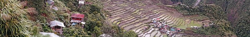 banaue rice terraces by Stefan Havadi-Nagy