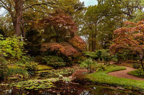 Japanischer Garten in Clingendael von Michiel Ronde