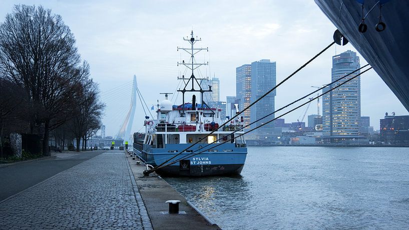 Westerkade Rotterdam Morgen von Daan Pleijsier