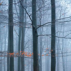 der letzte Teil des Herbstes von Mariëlle Weijsenfeld