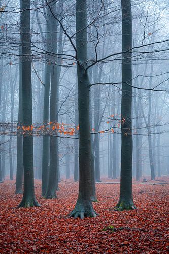 der letzte Teil des Herbstes