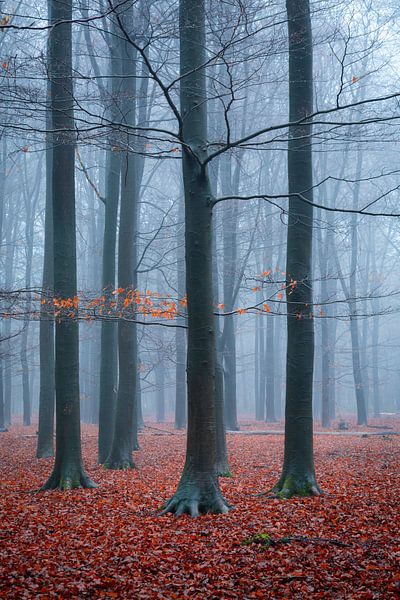 the last bit of autumn by Mariëlle Weijsenfeld