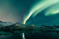 Noorderlicht boven de Lofoten in Noorwegen tijdens de winter van Sjoerd van der Wal Fotografie thumbnail