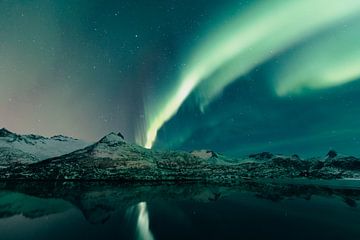Nordlichter über den Lofoten in Norwegen im Winter