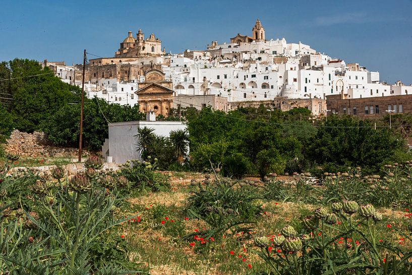 Ostuni die weiße Stadt von Alex Neumayer
