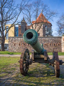 Magdeburg - Historische Kanone vor der Lukasklause von t.ART