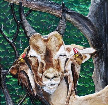 Wildlife_Symbiotic_Relationships van Floris Betrouw