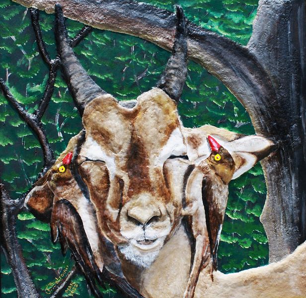 Wildlife_Symbiotic_Relationships by Floris Betrouw