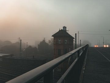 Brouillard le matin