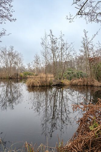 Hollands, paysage lacustre