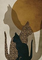 The cats