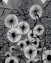 Ebony Bloom by fadi van yaldani thumbnail