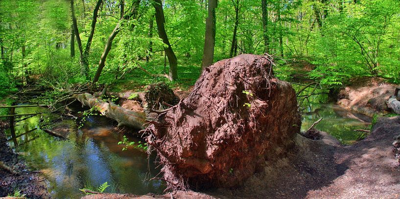 renversé sur le Silvertbach par Edgar Schermaul
