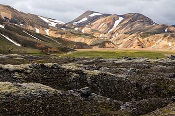 De bergen van Landmannalaugar in IJsland van Linda Schouw