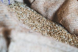 Getreide in Jute-Müllersack