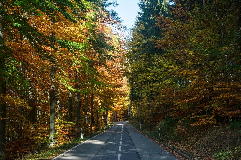 Gouden herfst van Johnny Flash