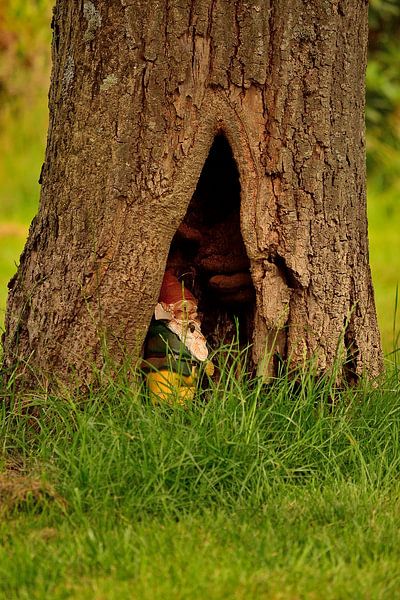 Gnomes really do exist by Rosenthal fotografie