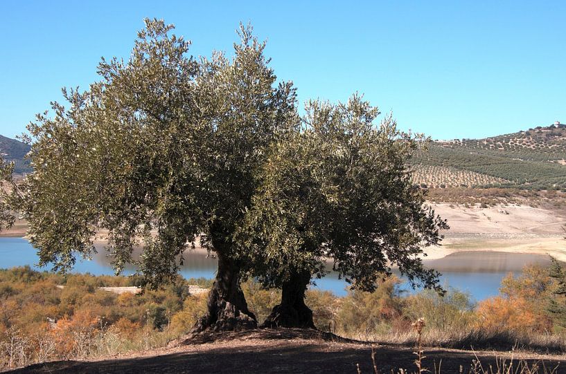 Deux au bord de la rivière par Jan Katuin