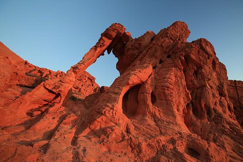Elephant Rock in Valley of Fire State Park, VS. Valley of Fire State Park is het oudste staatspark i