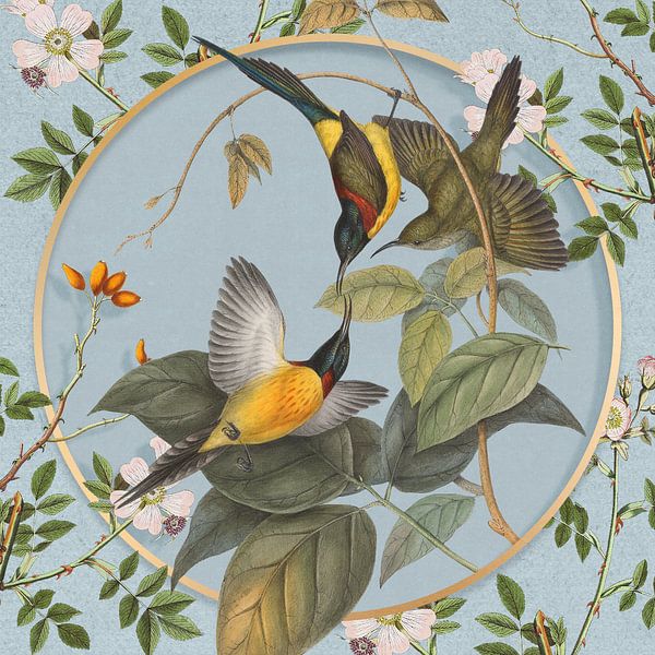Botanical Collage by Marja van den Hurk