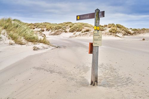 Dunes sur l'île de vacances de Texel
