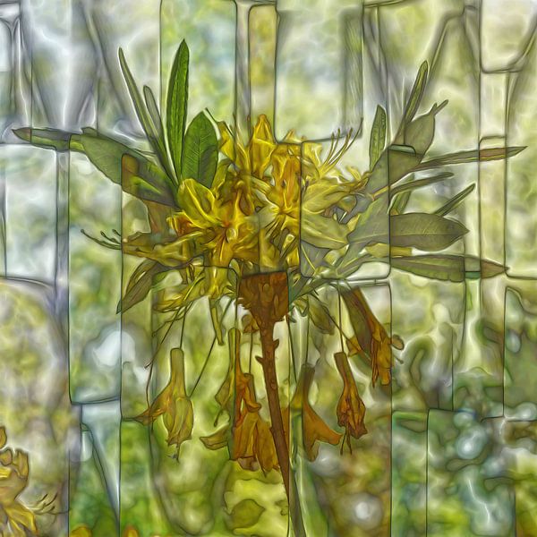 Azalea by Carla van Zomeren