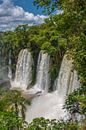 Adam und Eva Falls in Iguazu, Argentinien von Peter Leenen Miniaturansicht