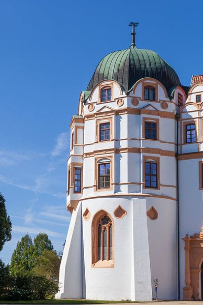 Herzogliches Schloß, Celle, Lüneburger Heide, Niedersachsen, Deutschland, Europa von Torsten Krüger