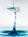 Water drops #9 van Marije Rademaker thumbnail