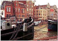 Tegenover de bazen