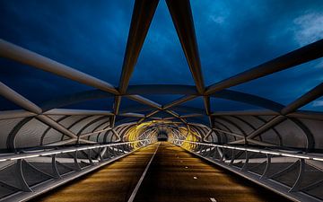 Rotterdam - Rhoon: Portlandsebrug ofwel de Netkous van Kees Dorsman
