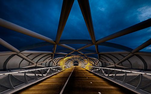Rotterdam - Rhoon: Portlandsebrug ofwel de Netkous