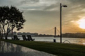 Rotterdam aan de maas 3