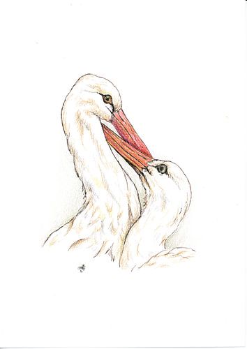 Storks in love