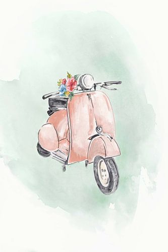 Coral Bike, Eva Watts 