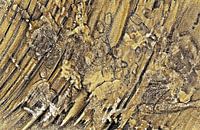 Baby Handprints In Gold And Black