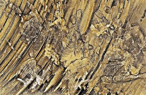 Baby Handprints In Gold And Black