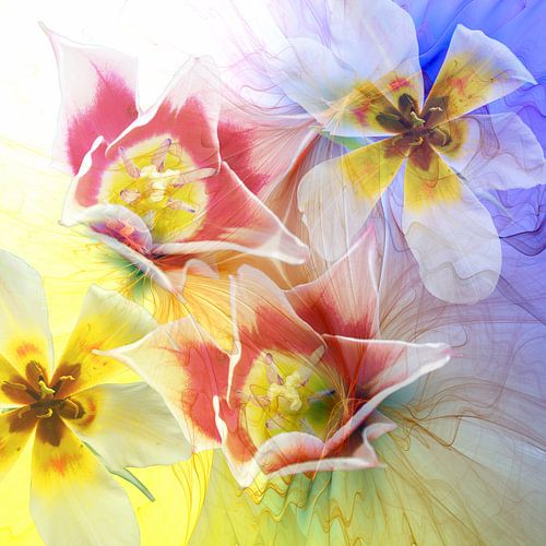 Der Frühling erwacht