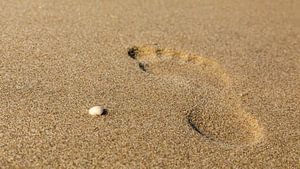 Des traces dans le sable
